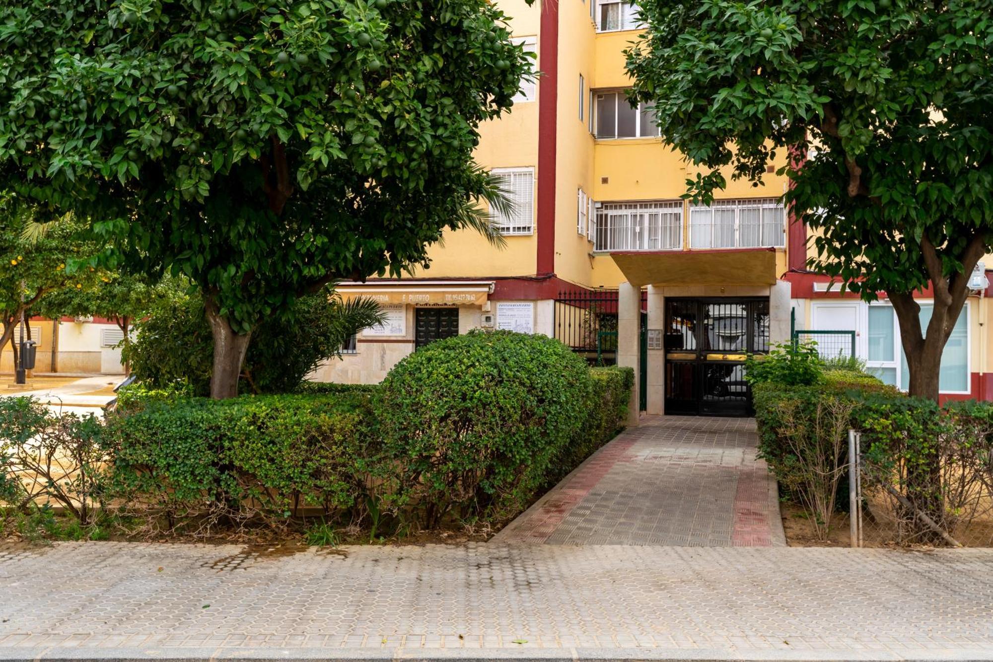 Whitey House In Triana Apartment เซบีญา ภายนอก รูปภาพ
